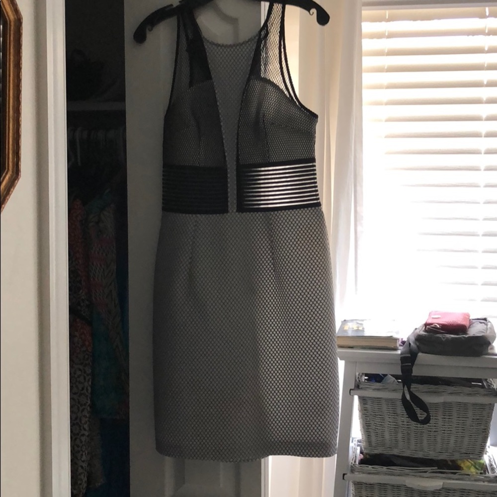 Black and white mesh dress